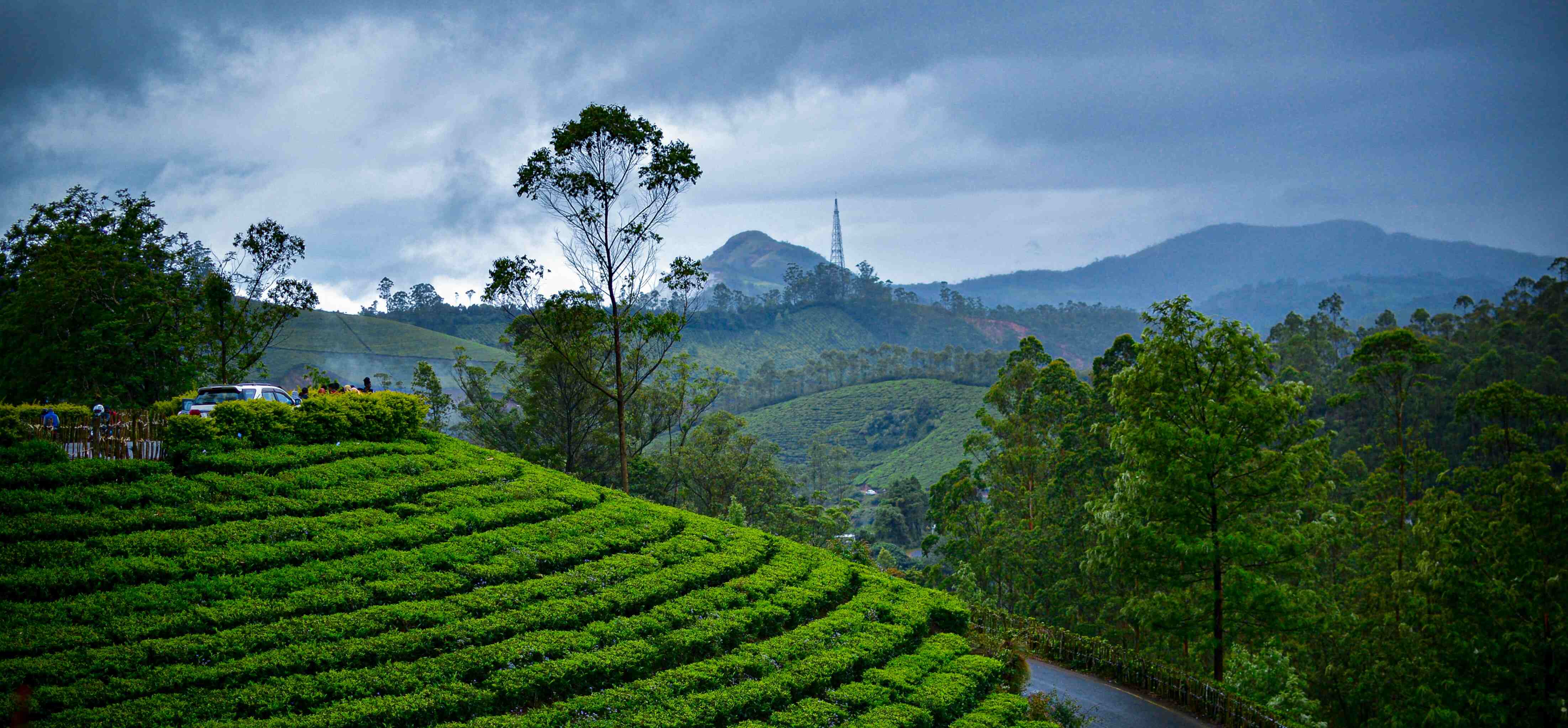 Kerala Houseboat and Jungle Safari